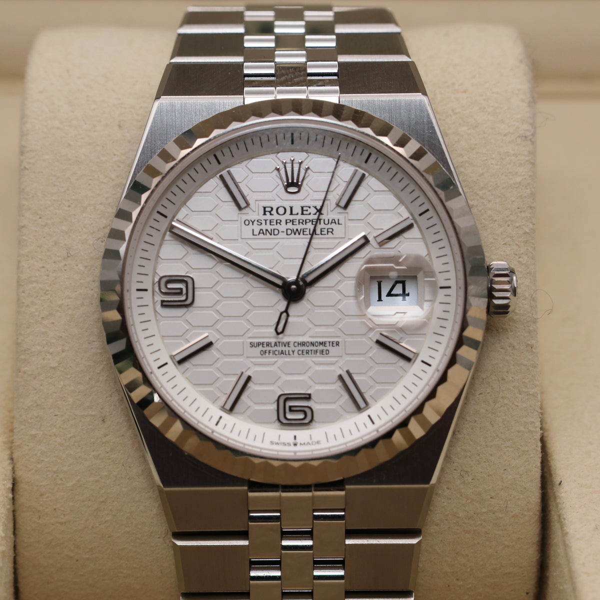 ON HOLD - Rolex Land-Dweller 36 - June 2026 - Mint Condition | Full Set