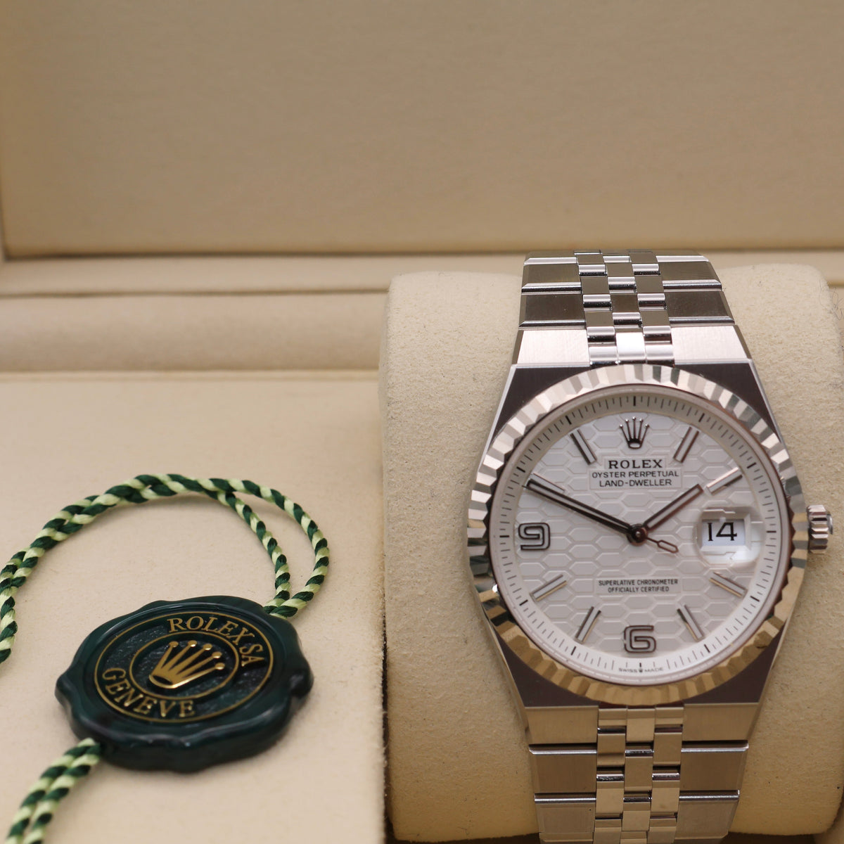 ON HOLD - Rolex Land-Dweller 36 - June 2026 - Mint Condition | Full Set
