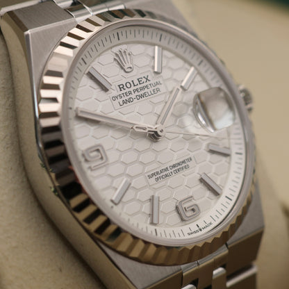 ON HOLD - Rolex Land-Dweller 36 - June 2026 - Mint Condition | Full Set