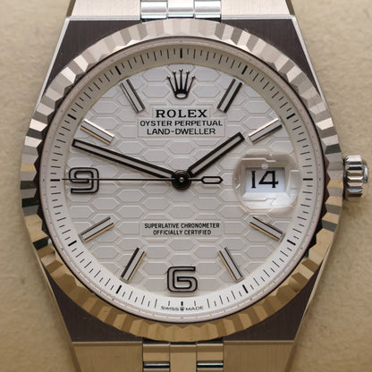 ON HOLD - Rolex Land-Dweller 36 - June 2026 - Mint Condition | Full Set